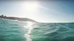 Kuta adalah anjing penyelamat yang dimiliki oleh Erin Cummings, warga asal Australia Barat. Ia senang pergi ke Pantai Esperance, tidak hanya bermain, tetapi berenang bersama lumba-lumba
