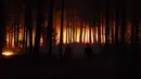 Sekitar 4.000 petugas pemadam kebakaran dikerahkan untuk mengendalikan api yang masih berkobar di tengah musim panas belahan bumi selatan. Tampak dalam foto, warga bergotong royong memadamkan vegetasi yang terbakar selama kebakaran hutan di kota Florida dekat kota Concepcion, Chile, pada Senin 19 Januari 2026. (Raul BRAVO/AFP)