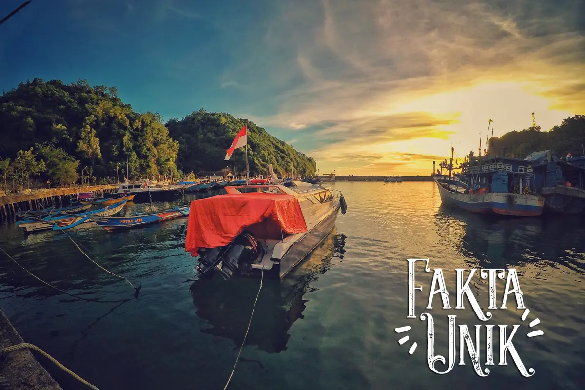 [Bintang] Fakta Unik