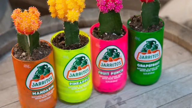 4 Tips Sederhana Menerapkan Gaya Hidup yang Ramah Lingkungan Mulai dari Rumah