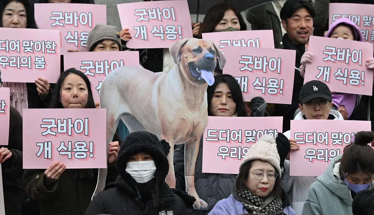 Dukungan resmi untuk pelarangan tersebut tumbuh di bawah Presiden Yoon Suk Yeol—seorang penyayang binatang yang telah mengadopsi beberapa anjing dan kucing liar—bersama Ibu Negara Kim Keon Hee, yang juga seorang pengkritik keras konsumsi daging anjing. (JUNG YEON-JE/AFP)