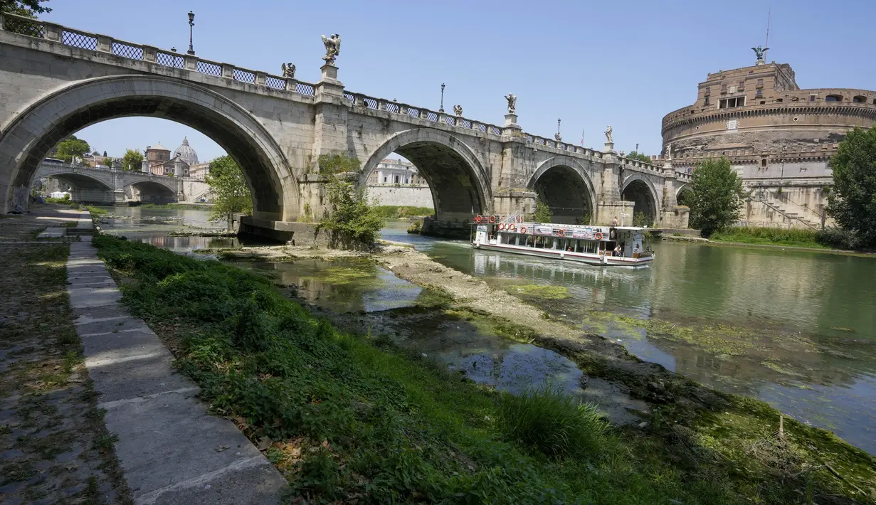 Sebuah feri turis berlayar ketika tanaman muncul di dasar sungai Tiber dengan daun seperti rawa mengambang di tepinya, di Roma, Italia, Senin, 4 Juli 2022. Sungai utama Roma telah mencapai tingkat air terendah dalam beberapa tahun setelah berhari-hari kekurangan hujan dan panas yang berlebihan. (AP Photo/Andrew Medichini)
