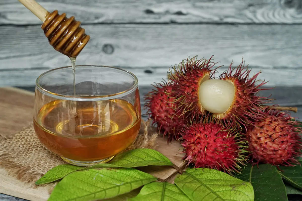 resep rebusan daun untuk kesehatan