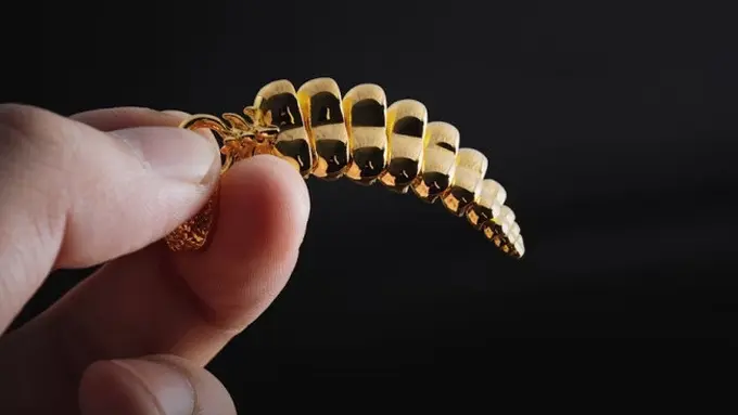 Ilustrasi Gelang Lipan Emas (Photo by COPPERTIST WU On Unsplash)