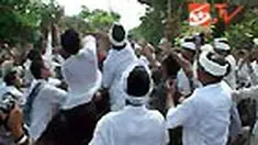 Pada Hari Raya Kuningan, umat Hindu Bali rebutan uang dan sabung ayam. Tradisi ini diselenggarakan untuk memperingati arwah leluhur. 