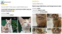 6 Ulasan Pembeli tentang Aksesori Hewan Peliharaannya di Toko Online Ini Kocak