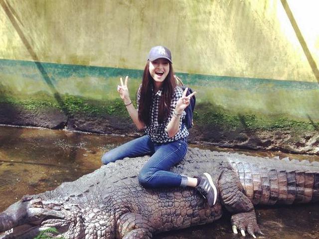 Taman Hewan Perbaungan - Taman Hewan Siantar Siantar Zoo Semedan Com