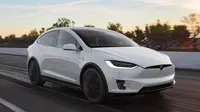Tesla Model X. (Motor Trend)