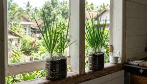 Top 3 Hot: Cara Menanam Daun Bawang di Rumah hingga Ide Desain Rumah Gen Z dan Milenial