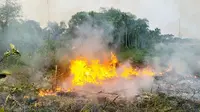 Kebakaran lahan di Pekanbaru mengepulkan kabut asap yang mulai mendekati pemukiman warga. (Liputan6.com/M Syukur)