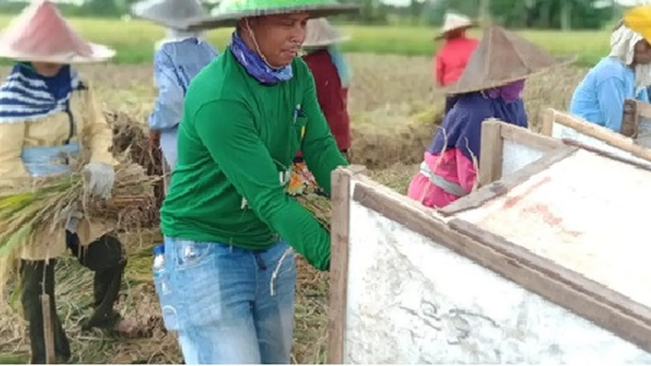 BAZNAS Dorong Bantuan Produksi Pertanian