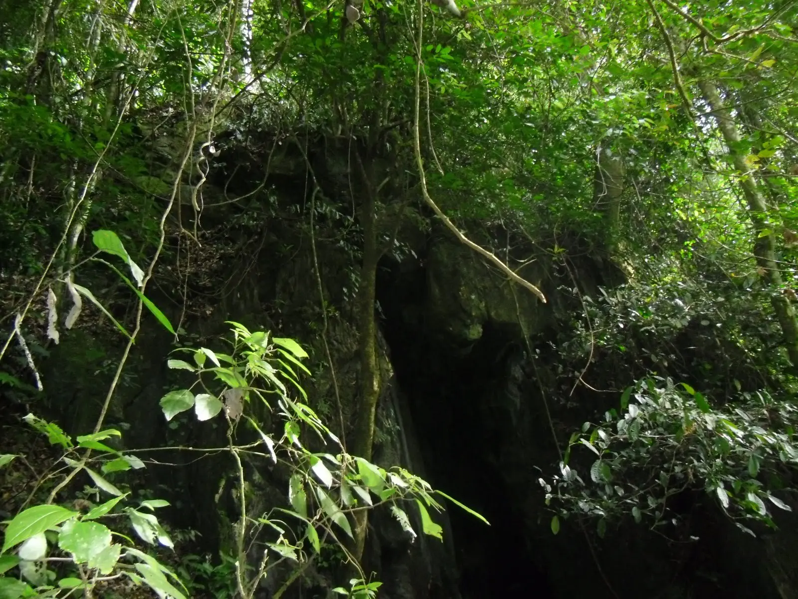 Selain penuh misteri, lokasi Goa Kelelawar masih sangat alami 