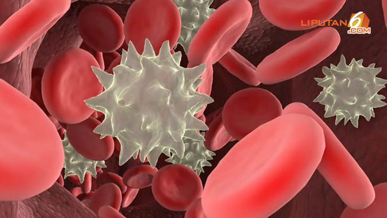 leukimia-140114.jpg