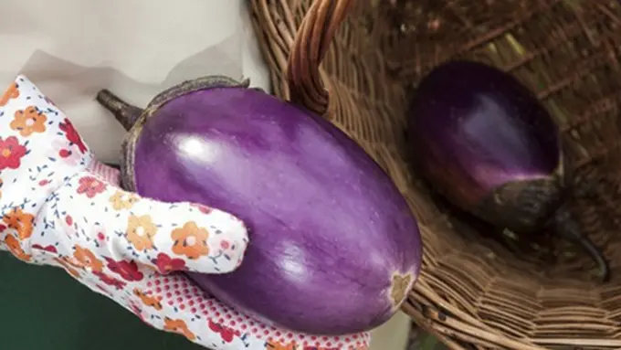 Foto : Copyrigght Thinkstockphotos.com