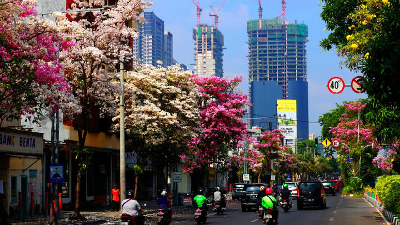 (Foto: Liputan6.com/Dian Kurniawan)