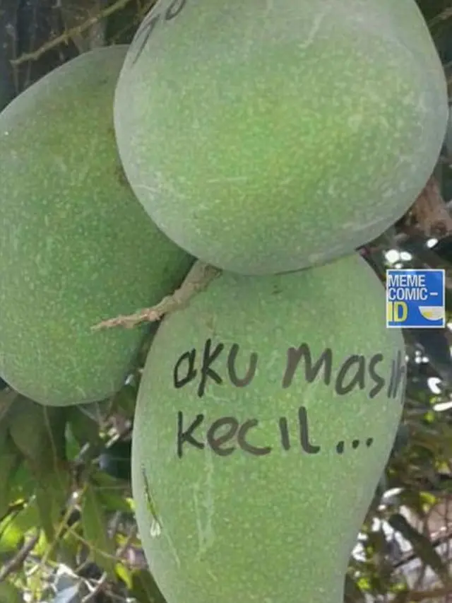 6 Tulisan di Mangga Ini Nyeleneh Banget, Kocak
