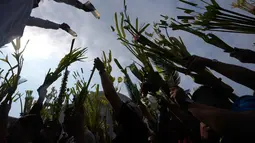 Hari ini, Minggu 29 Maret 2026, merupakan pekan terakhir sebelum perayaan Paskah. Tampak dalam foto, seorang pekerja gereja menggunakan botol untuk memercikkan air suci ke daun palem para umat selama upacara pemberkatan di luar Katedral Antipolo, kota Antipolo, provinsi Rizal, Filipina, saat memperingati Minggu Palma, 29 Maret 2026. (AP Photo/Aaron Favila)