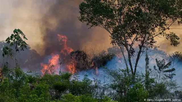 Kebakaran dahsyat di hutan hujan Amazon Brasil (AFP/A. Scorza)