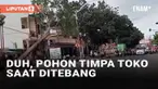 Bagi sebagian orang, menebang pohon dianggap hal yang mudah. Namun sejatinya menebang pohon perlu perhitungan agar tidak menyebabkan kecelakaan seperti yang baru-baru ini viral. Upaya penebangan pohon justru menyebabkan sebuah toko terkena imbas.