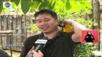 Memperlakukan binatang dengan baik adalah cara baik pula untuk memperingati hari binatang se-dunia.