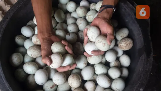 Telur Asin