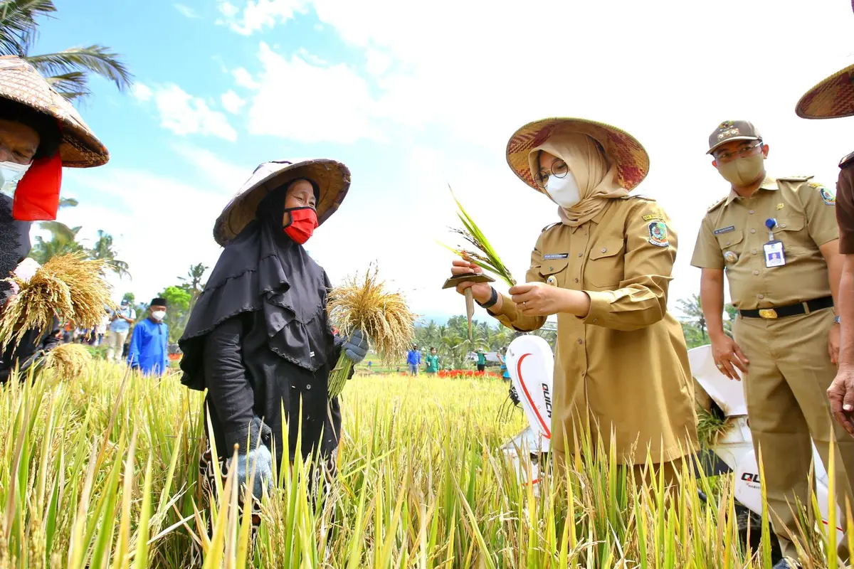 Bupati Ipuk Minta Dinas Pertanian dan Pangan Antisipasi Dampak El Nino