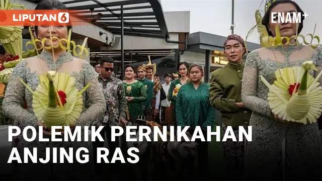 Pakai Adat Jawa Lengkap, Pernikahan Anjing Jojo-Luna Tuai Pro-Kontra Masyarakat