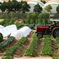 Temukan sisi lain Dubai yang jarang terekspos, bukan hanya gedung tinggi dan kemewahan, tapi juga hamparan alam hijau, pegunungan tenang, hingga inovasi ramah lingkungan yang memikat hati. Yuk, intip selengkapnya di sini! (Foto dok: Dubai).