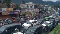 Pengguna jalan di jalur Puncak, Jawa Barat, menghabiskan waktu hingga 13 jam untuk sampai ke rumah karena terjebak macet di Jalur Ciawi-Cianjur, sejak Minggu sore hingga Senin dini hari. (Achmad Sudarno)