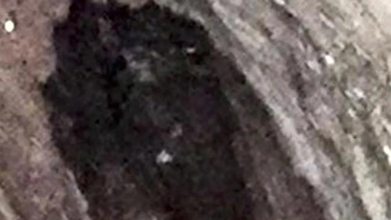 Horor Sosok Hantu Bajak Laut di Foto Liburan
