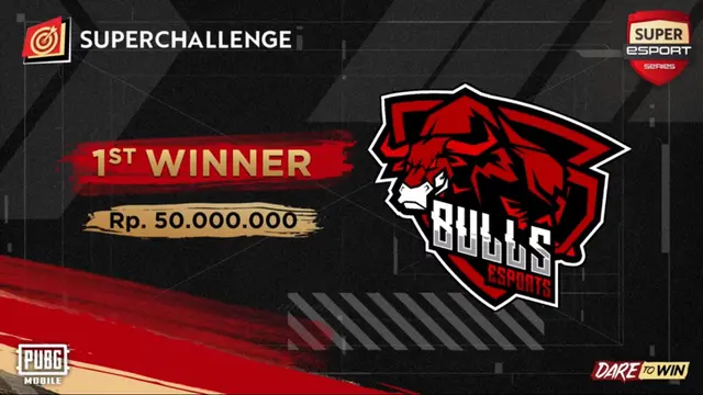 Bulls Esports - Super Esports Series Season 1