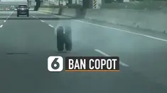 Terekam kamera dashcam pengendara mobil yang melintas. Sebuah ban truk menggelinding di jalan tol.