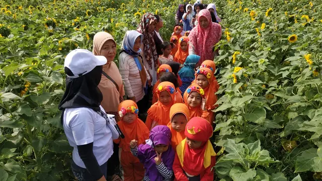 Bermain di Taman Bunga Matahari