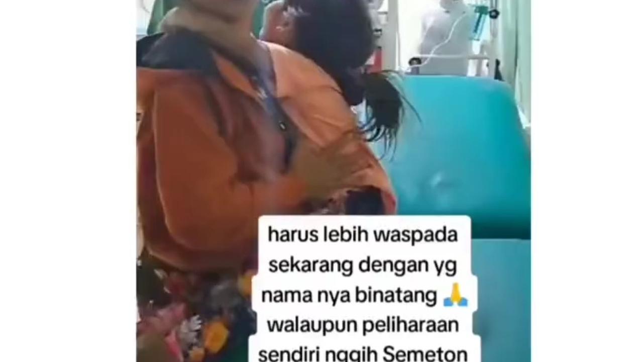 Viral Bocah 5 Tahun di Buleleng Meninggal Akibat Digigit Anjing Rabies, Warganet Tekankan Pentingnya Vaksin Hewan Peliharaan