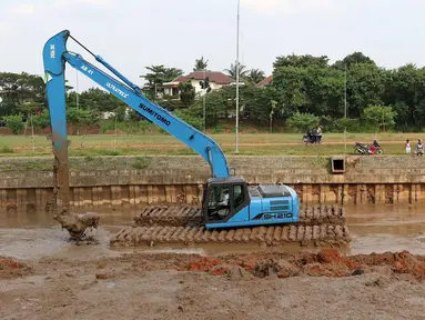 Alat berat mengeruk lumpur di kawasan Setu Babakan, Jakarta, Senin (7/5). Pengerukan dilakukan untuk menambah daya tampung air Setu Babakan. (Liputan6.com/Immanuel Antonius)