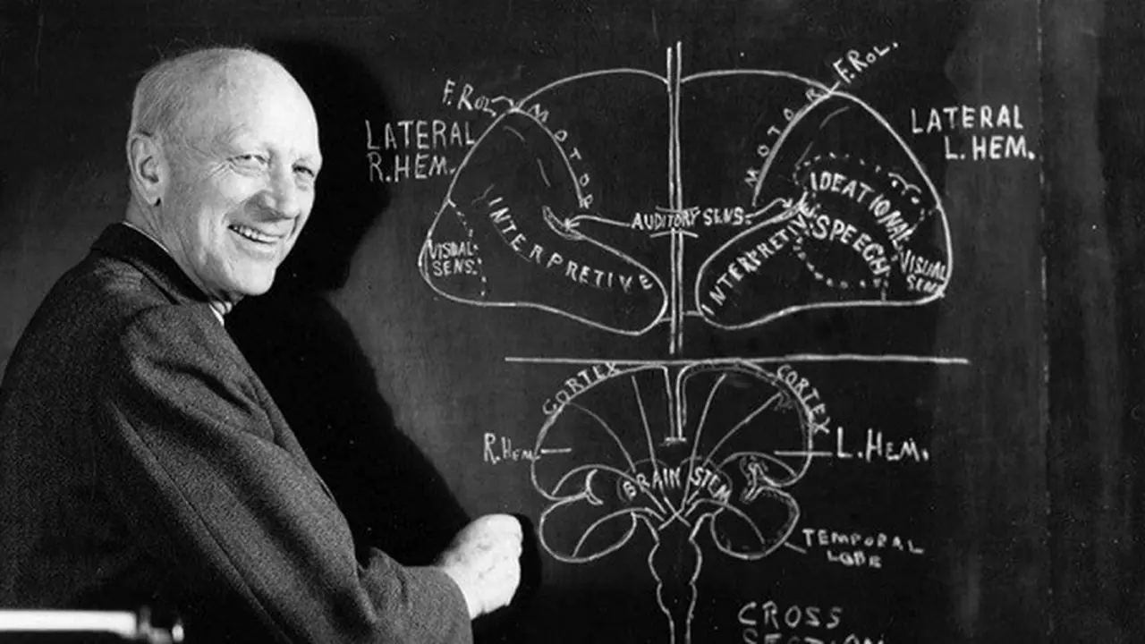 Wilder Penfield