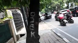 Coretan cat terlihat jelas di batang pohon di kawasan Jalan Pakubuwono, Jakarta, Kamis (21/11/2019). Setiap 21 November diperingati sebagai Hari Pohon Sedunia, hal ini untuk mengingatkan masyarakat akan manfaat tanaman bagi kehidupan dan pelestarian lingkungan. (Liputan6.com/Helmi Fithriansyah)