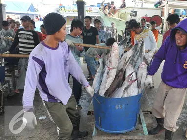 Nelayan membawa tangkapan ikan hiu hasil melaut ke pelelangan ikan, Karangsong, Indramayu, Jawa Barat, Kamis (16/6/2015). Meski sudah ada larangan perburuan dan perdagangan, nelayan setempat masih memperdagangkan sirip hiu. (Liputan6.com/Herman Zakharia)