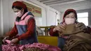 Pekerja Pabrik Pakaian Rajut Songyo membuat masker untuk perlindungan terhadap coronavirus baru di Pyongyang (6/2/2020). Wabah yang dimulai dari kota Wuhan di China tersebut telah menyebar ke puluhan negara di dunia. (AFP/Kim Won-Jin)