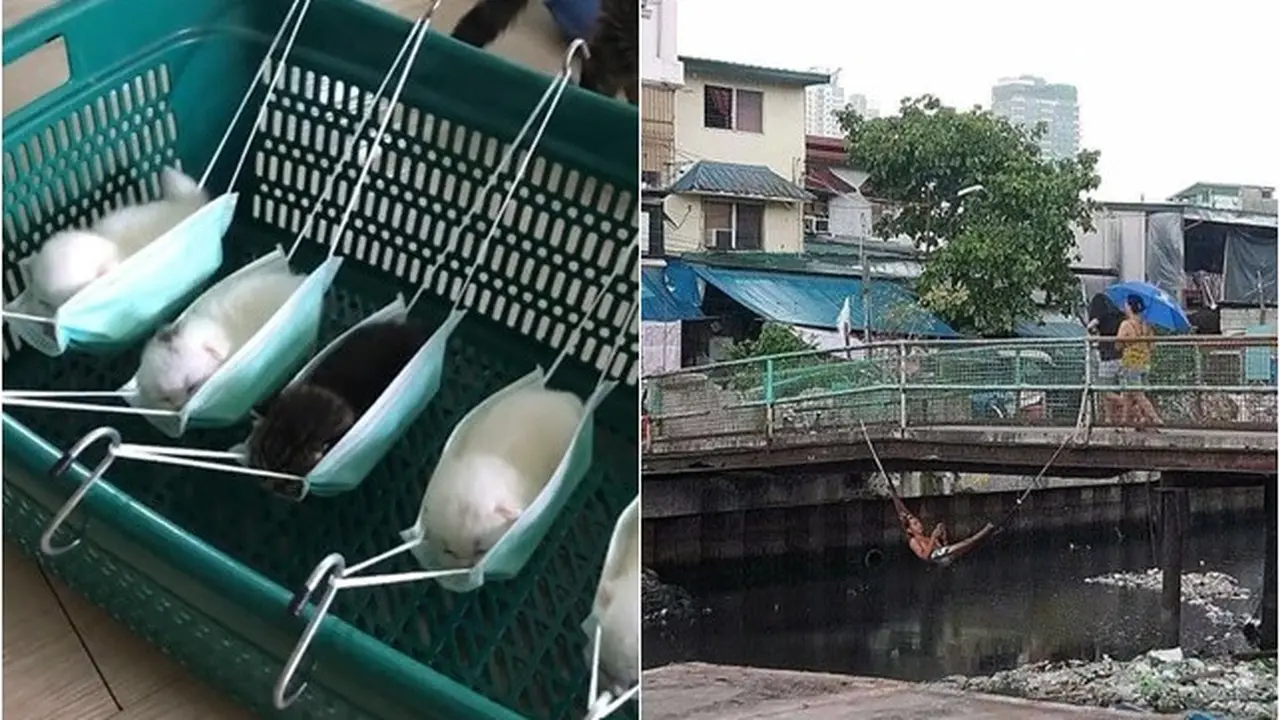 6 Potret Lucu Santai di Tempat Tidur Gantung Low Budget Ini Bikin Ngakak
