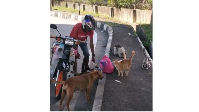 Salut, Tukang Parkir Ini Habiskan Lebih Dari Setengah Gajinya Untuk Beri Makan Hewan Liar
