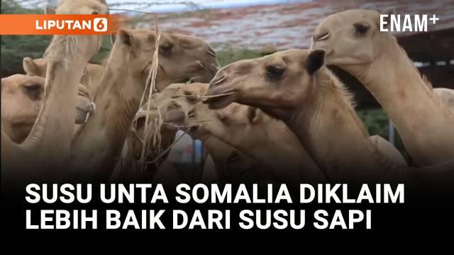 Somalia memiliki lebih dari 7 juta unta, dimana ini adalah jumlah terbanyak di dunia, tetapi hanya sebagian kecil susunya yang masuk ke pasar modern. Kini, peternakan unta mulai bermunculan di pinggiran kota Mogadishu.