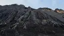 Puncak Carstensz, yang menjadi bagian dari Pegunungan Jaya Wijaya di Papua, menjadi salah satu pencapaian tertinggi Fiersa. Namun, perjalanan ini bukan tanpa risiko. Tragedi kehilangan dua rekan pendaki, Fiersa Besari berduka. (Liputan6.com/IG/@fiersa)