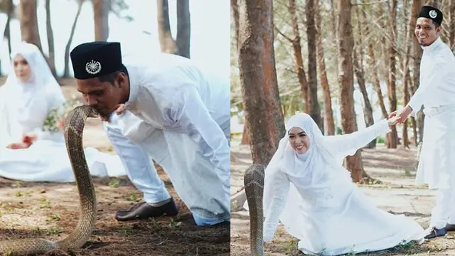Foto Pernikahan Antimainstream, Sampai Gunakan Ular King Cobra