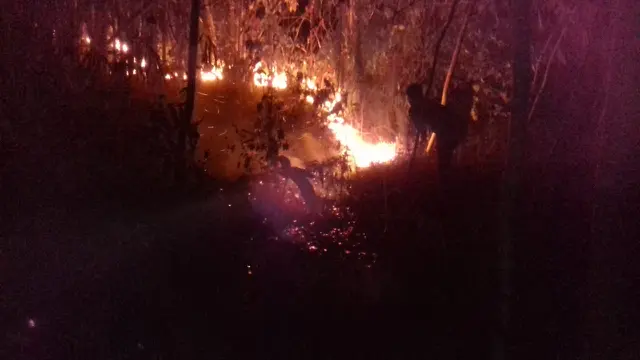 Kebakaran lahan, di Banyumas, Jawa Tengah, 2018. (Foto: Liputan6.com/Muhamad Ridlo)
