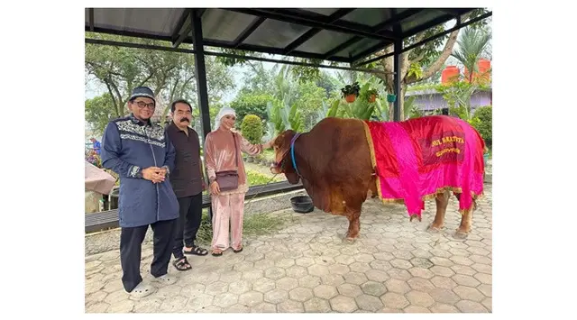 7 Artis kurban sapi di Idul Adha 2025, Ruben Onsu kurban sapi jumbo