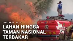 Kebakaran Hutan dan Lahan, Kalimantan dan Sumatra Masih Membara