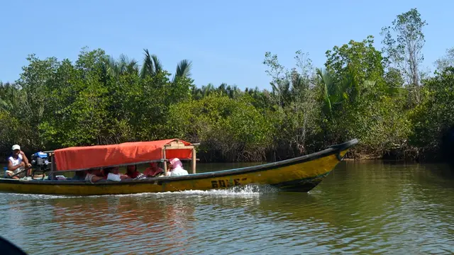 Perahu melintas di Laguna Segara Anakan, Cilacap, Jawa Tengah. (Foto: Liputan6.com/Muhamad Ridlo).