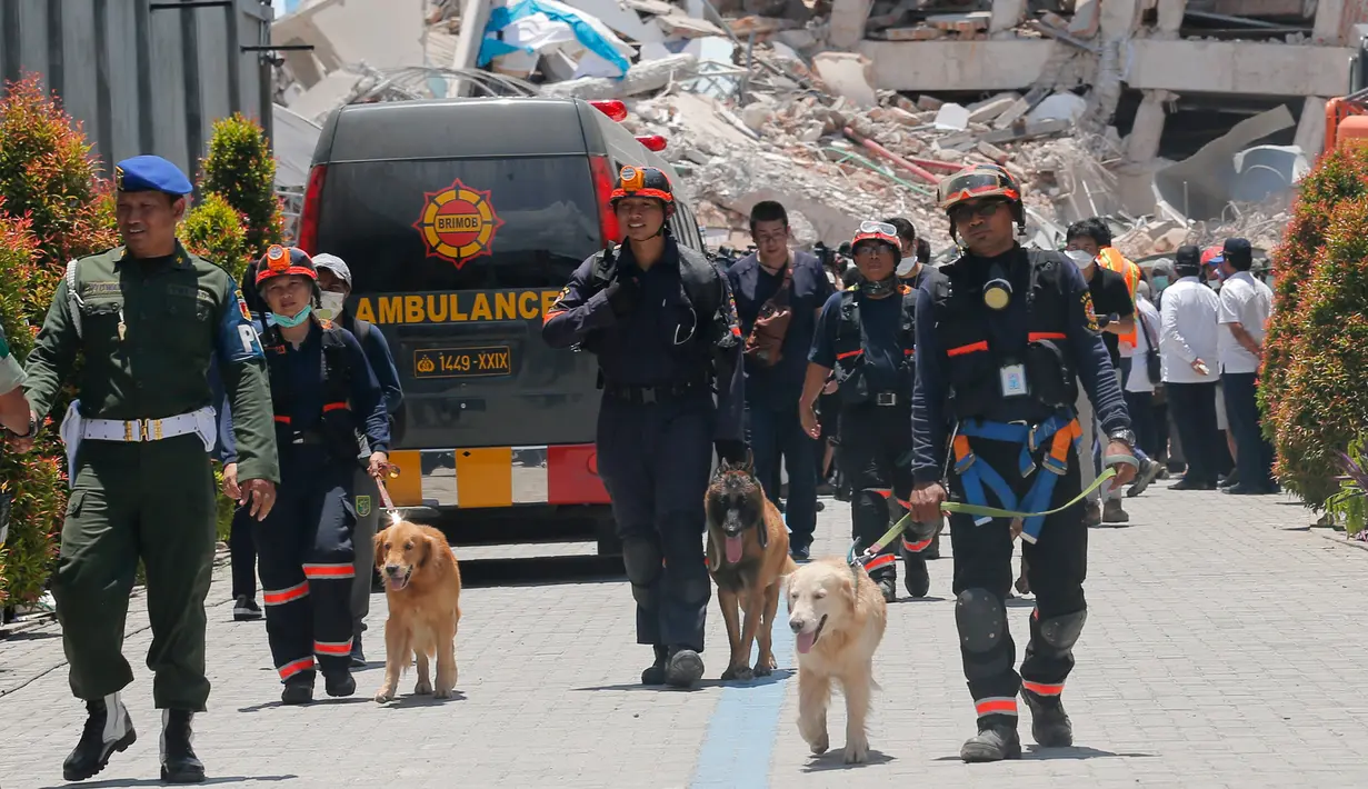 Unit K9 mengerahkan anjing pelacak saat mencari korban gempa dan tsunami di Hotel Roa-Roa, Palu, Sulawesi Tengah, Rabu (3/10). Anjing K9 dikerahkan untuk mengendus keberadaan tubuh korban yang tertimbun reruntuhan. (AP Photo/Tatan Syuflana)