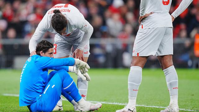 Yann Sommer, Timnas Swiss